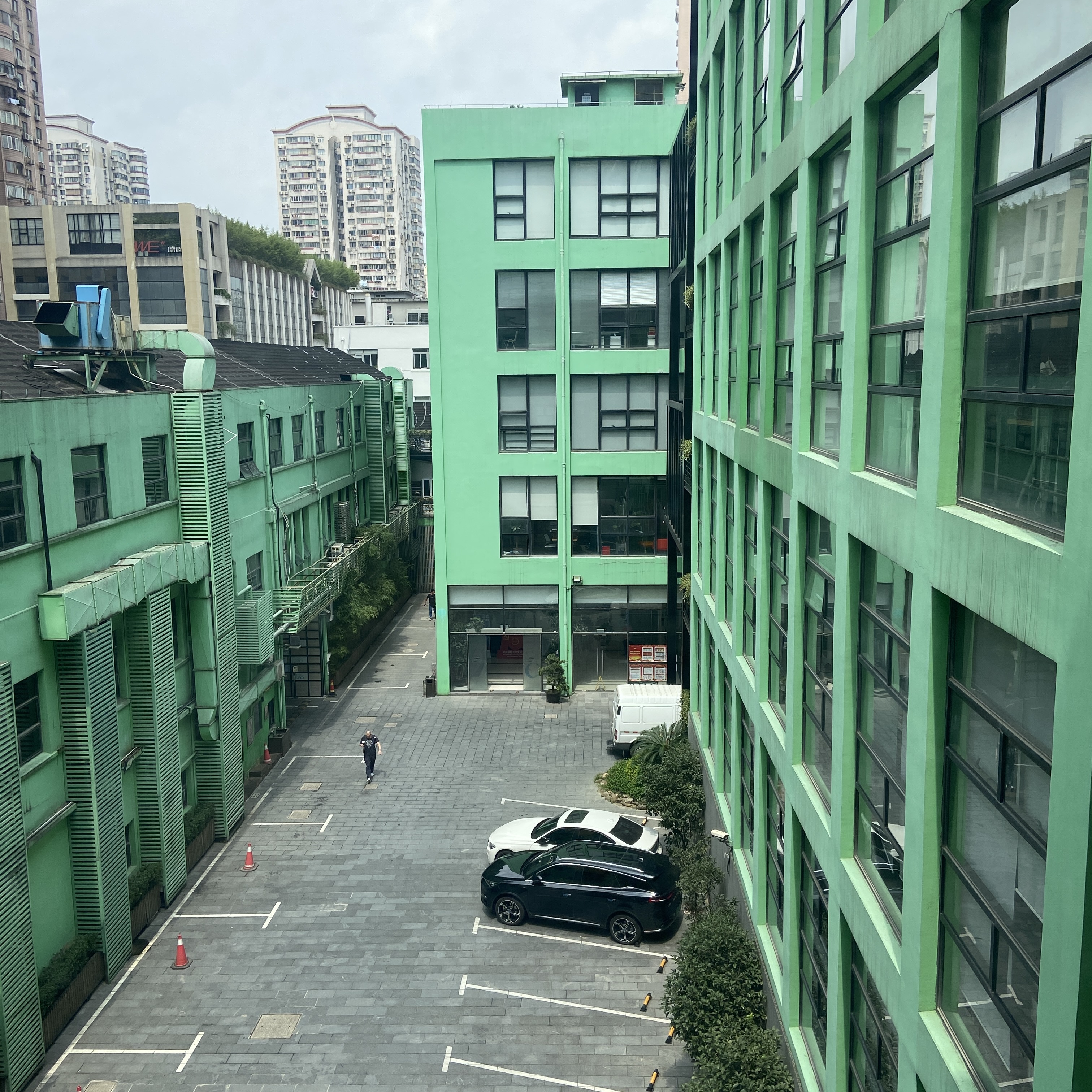阳狮 3
