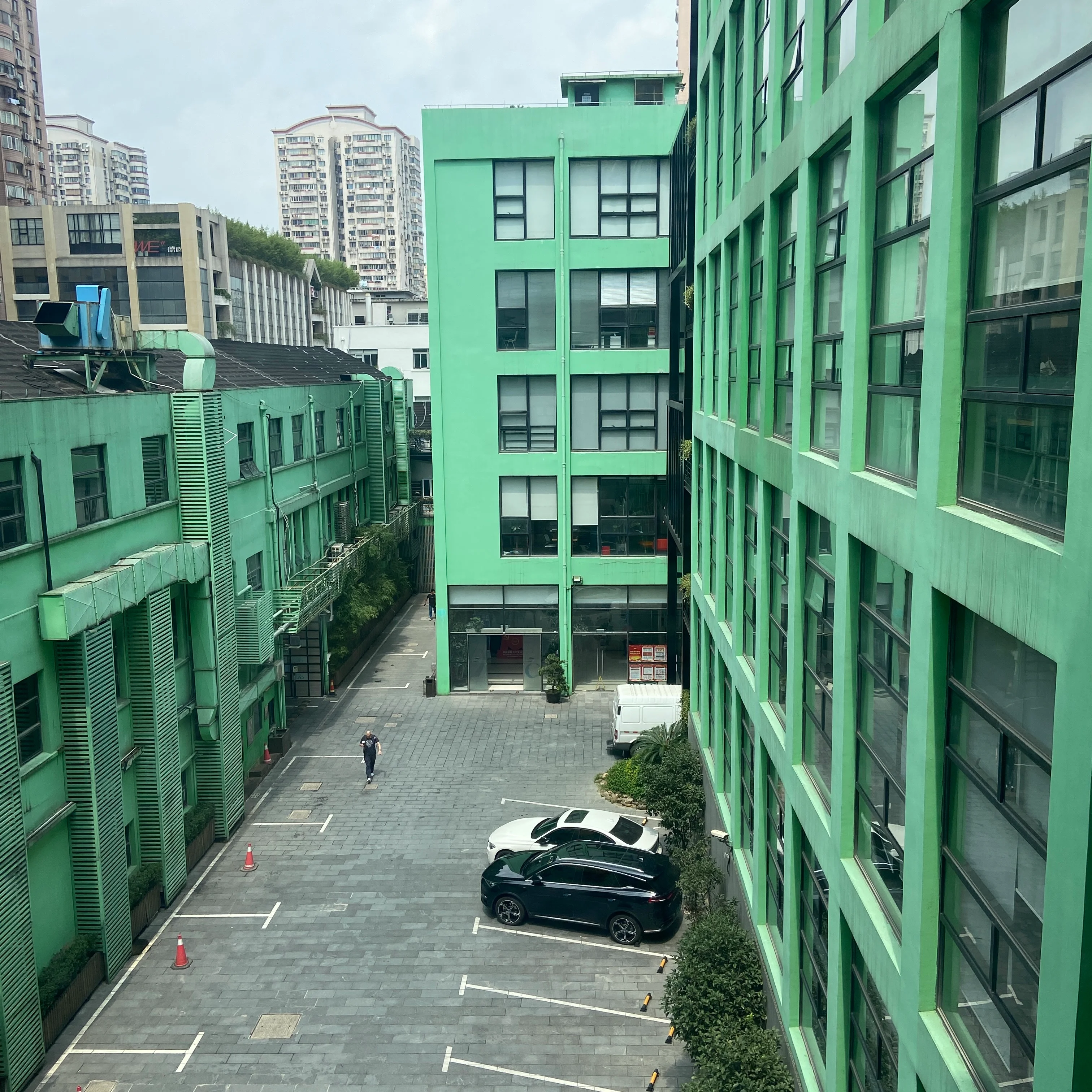 阳狮 3